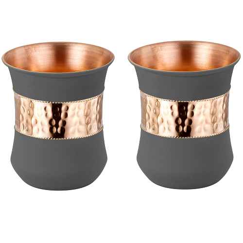 Patra Grey Copper Glass Set